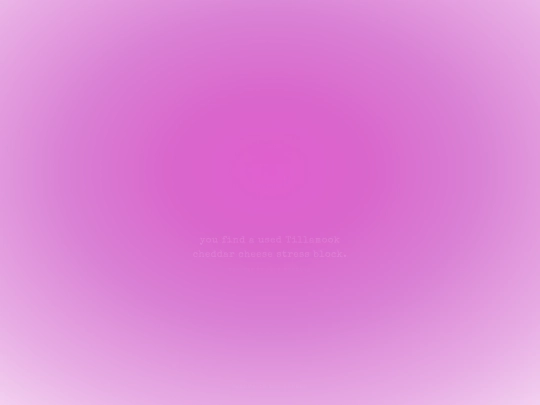vulnerabilia/005 screenshot