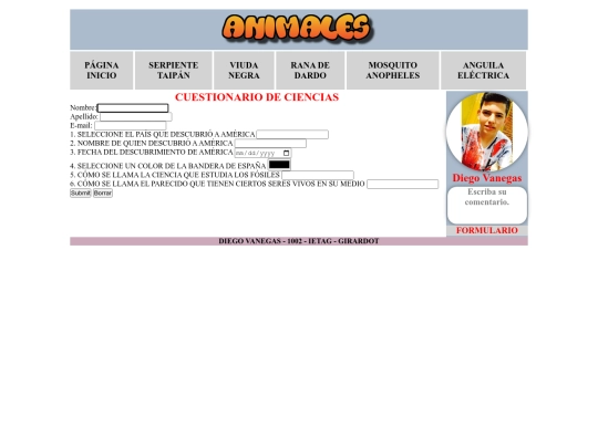 formulario screenshot
