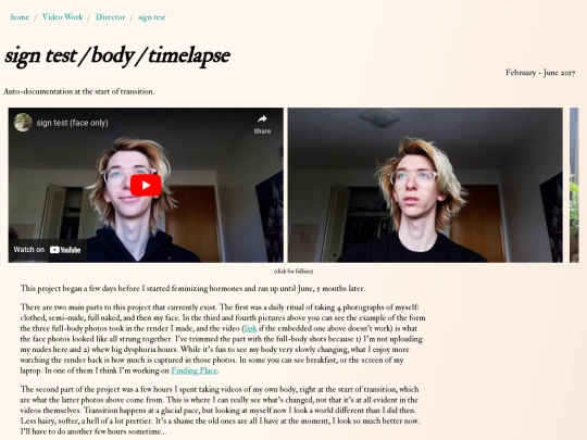 Video Work/Director/signtest screenshot