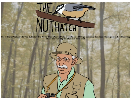 thenuthatch screenshot