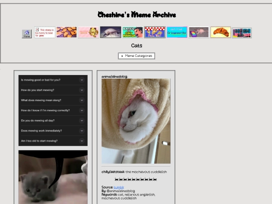 meme archive/cats/cats1 screenshot