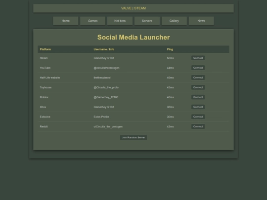server screenshot