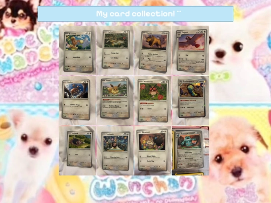 cards screenshot