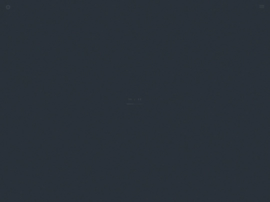 Viewer screenshot