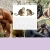 PRIMATE PARTY avatar