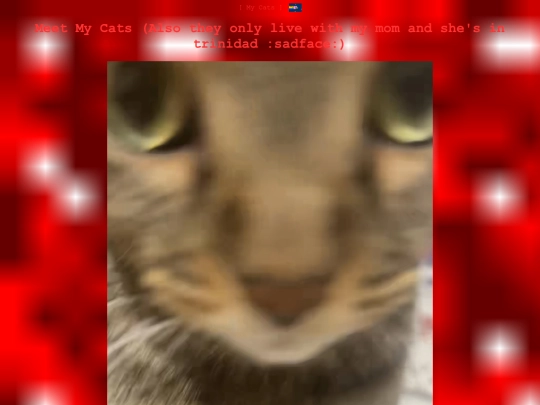 cats screenshot