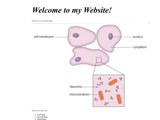 Bio screenshot