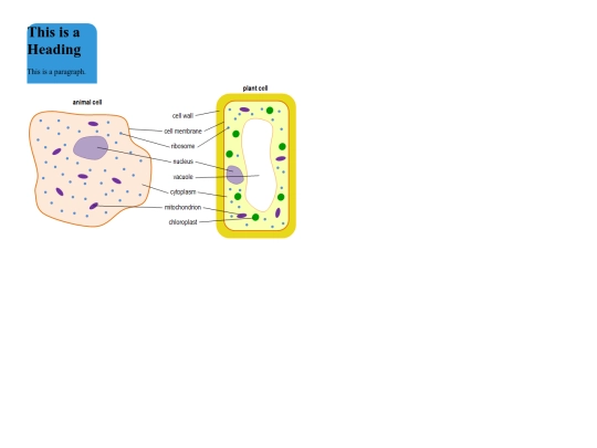 testland screenshot
