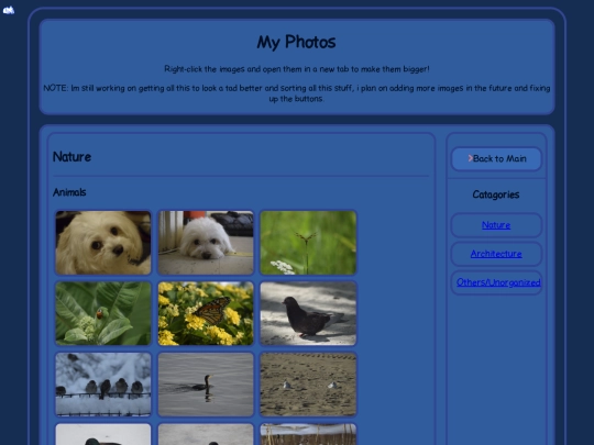 Photo screenshot