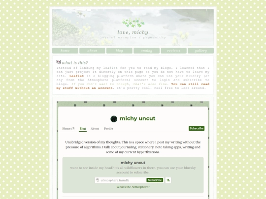 blog/journal screenshot
