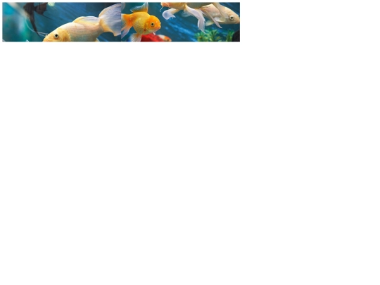 puzzle screenshot