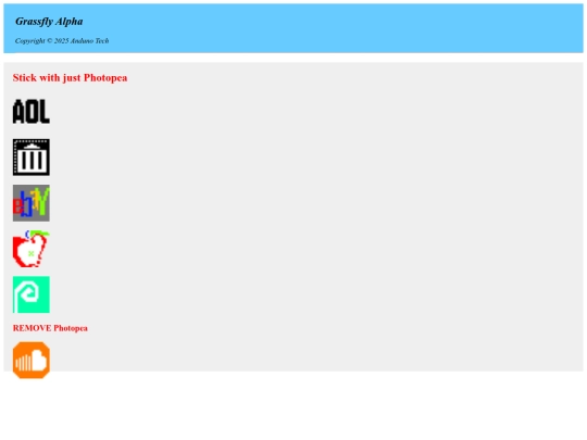 p-website screenshot