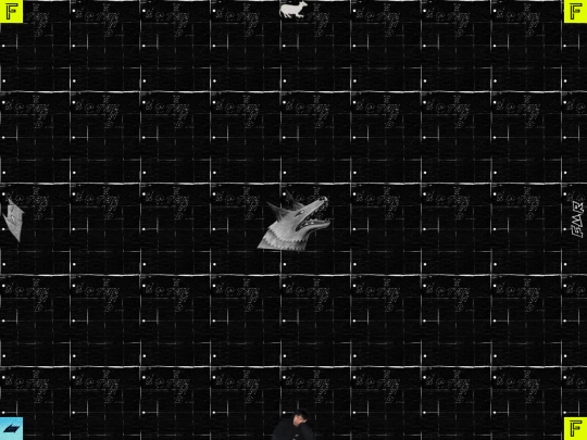 41-FIN screenshot