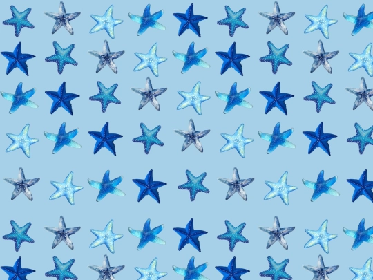 VirtualResortTM screenshot