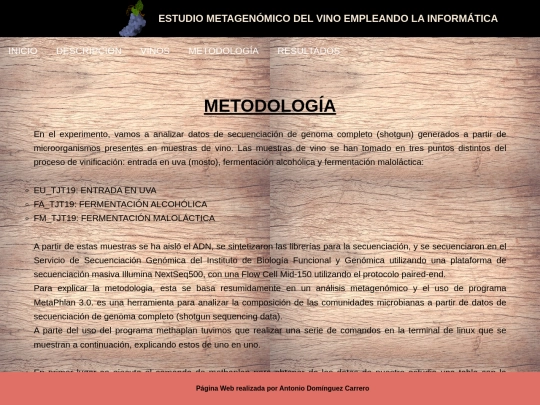MetodologiaVINO screenshot