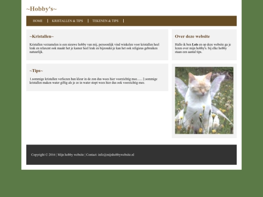 hobby1 screenshot