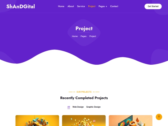 project screenshot
