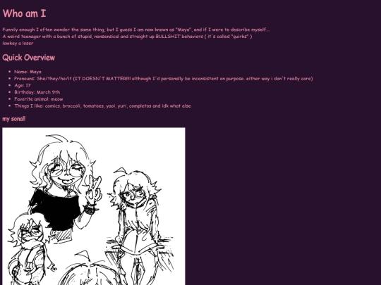 intro screenshot