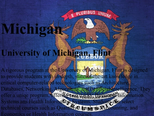 esc/Michigan screenshot