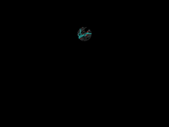 p/symbiosis screenshot