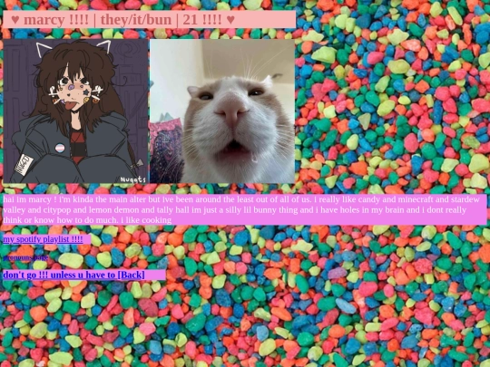 marcy screenshot