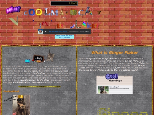 Coolmathcat screenshot
