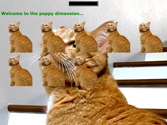 Poppy screenshot