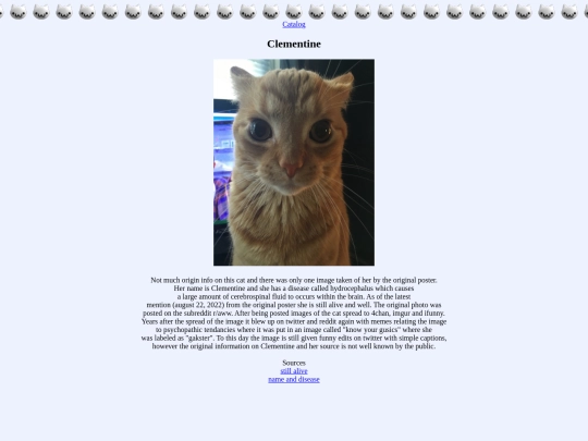 cats/beepster screenshot