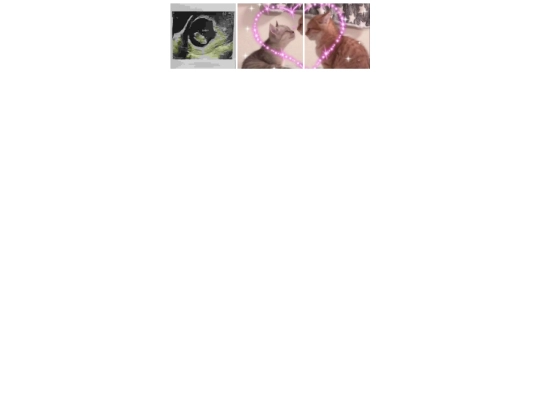 instagram/postgrid screenshot