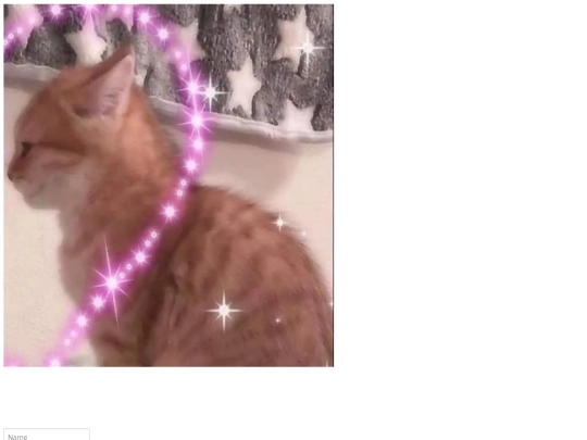 instagram/posts/20241110 screenshot