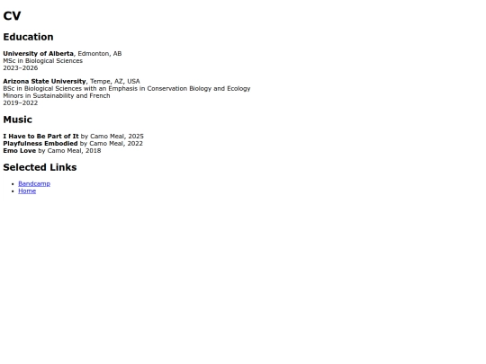 CV screenshot