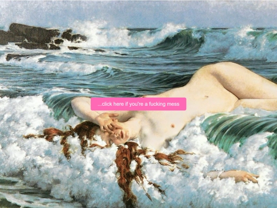 photography portfolio/website coding/splash.page screenshot