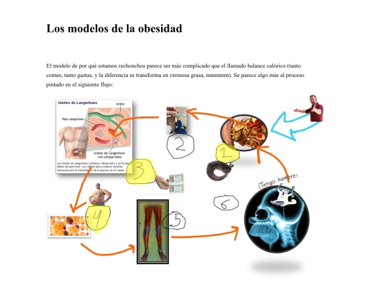 Escritos/Modelo_de_la_obesidad screenshot