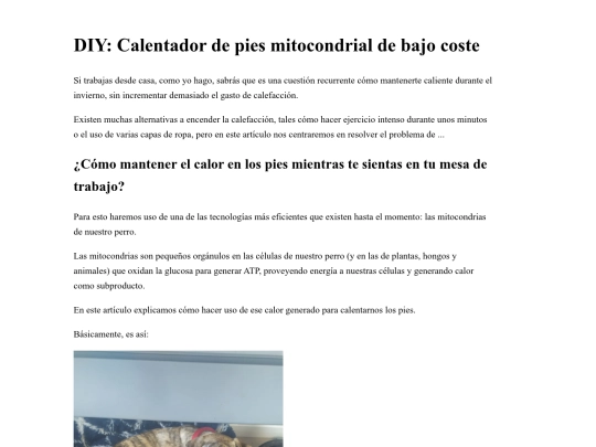 Proyectos/Calentador_de_pies_Mitocondrial screenshot