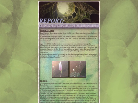 report screenshot
