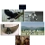 lindsey.yorniq.xyz avatar