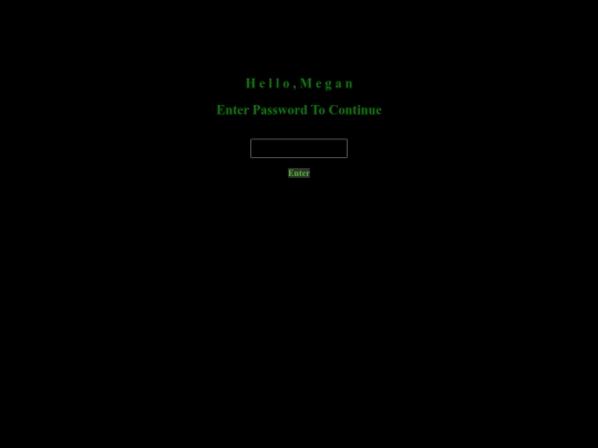 computer screenshot