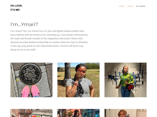 StyleVault 2/portfolio screenshot
