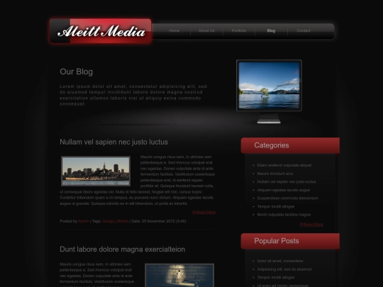 blog screenshot