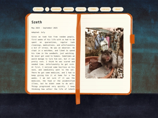 MiscNotebook/Szeth screenshot