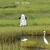 The Marsh avatar