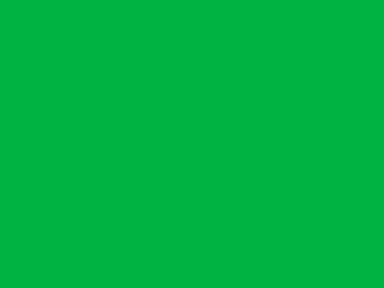 green screenshot