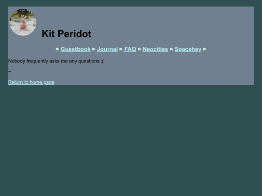 faq screenshot