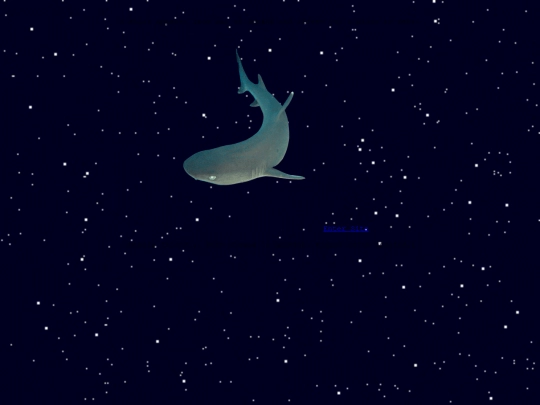shark screenshot