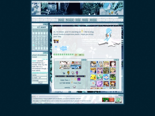 dir/home screenshot