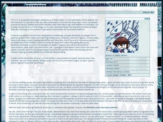 dir/inner/profile screenshot