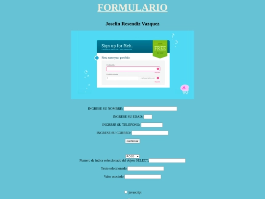 Formulario screenshot