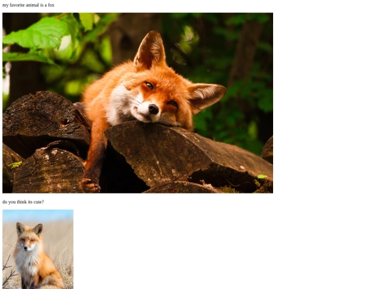 foxes screenshot
