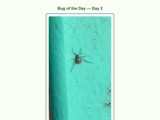 day2 screenshot