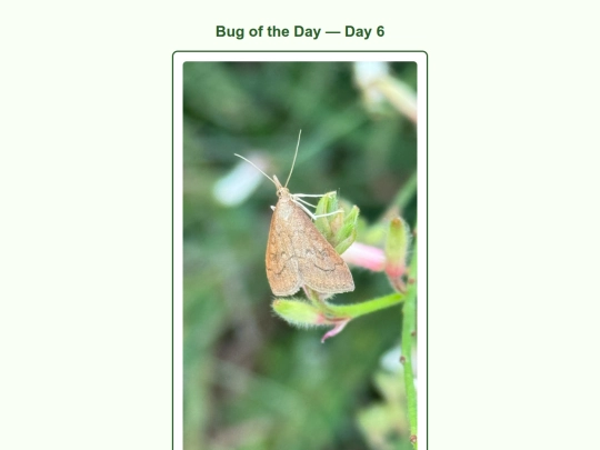 day6 screenshot